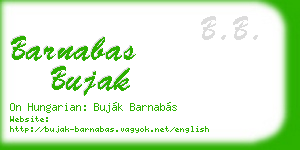 barnabas bujak business card