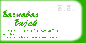 barnabas bujak business card